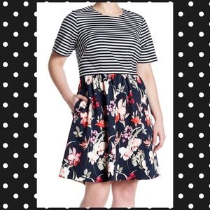 Eliza J Striped Floral Print Dress